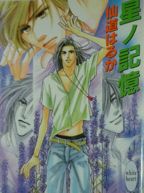 星ノ記憶　仙道はるか(著)